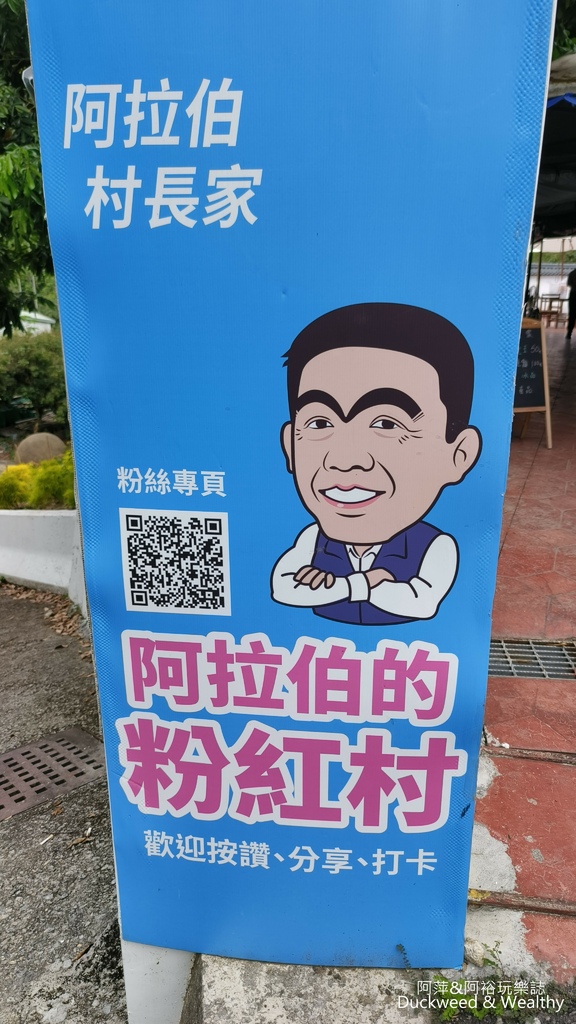 【嘉義.竹崎】《阿拉伯粉紅村》賞花景點∣金針花x花旗木夢幻同