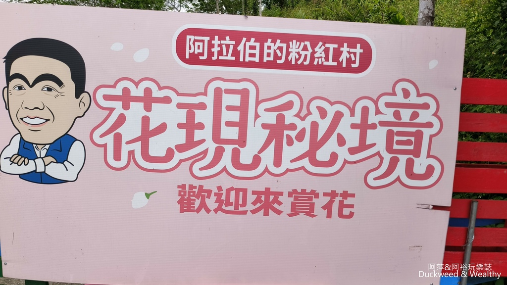 【嘉義.竹崎】《阿拉伯粉紅村》賞花景點∣金針花x花旗木夢幻同