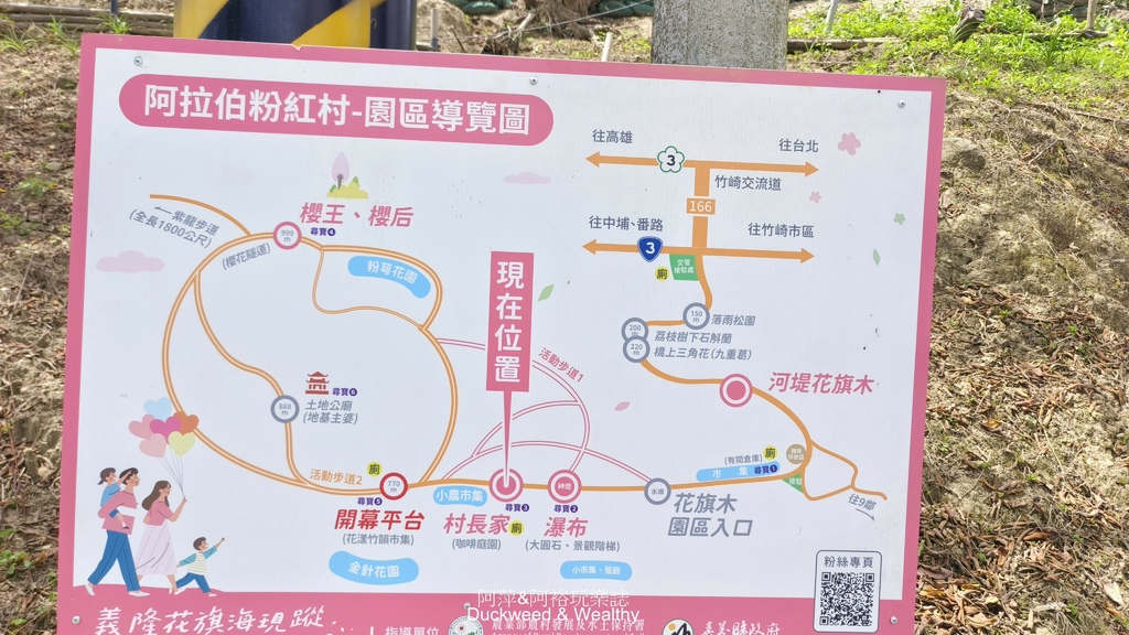 【嘉義.竹崎】《阿拉伯粉紅村》賞花景點∣金針花x花旗木夢幻同