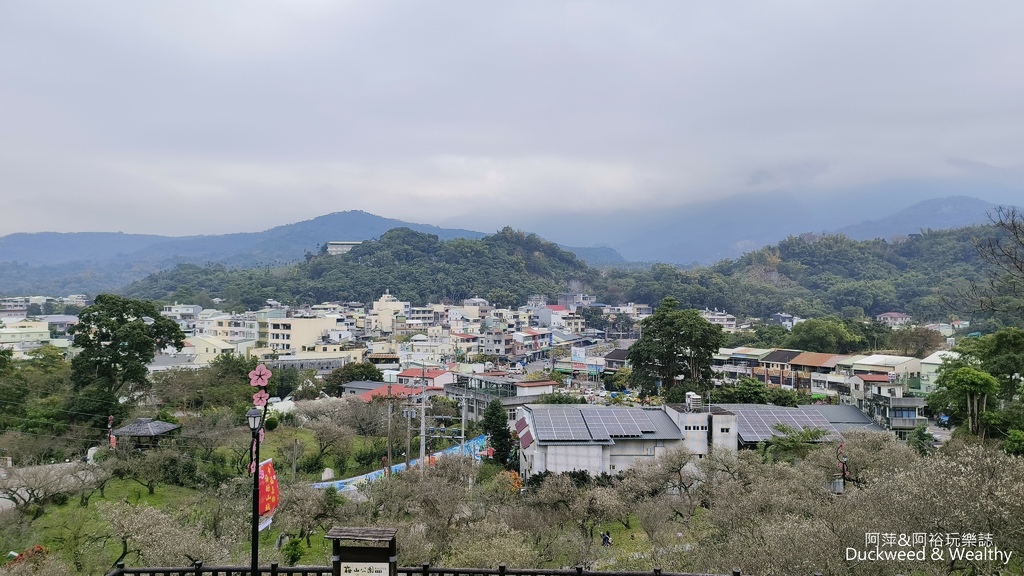【嘉義.梅山景點】「梅山公園」嘉義賞梅景點推薦|擁抱山林最佳