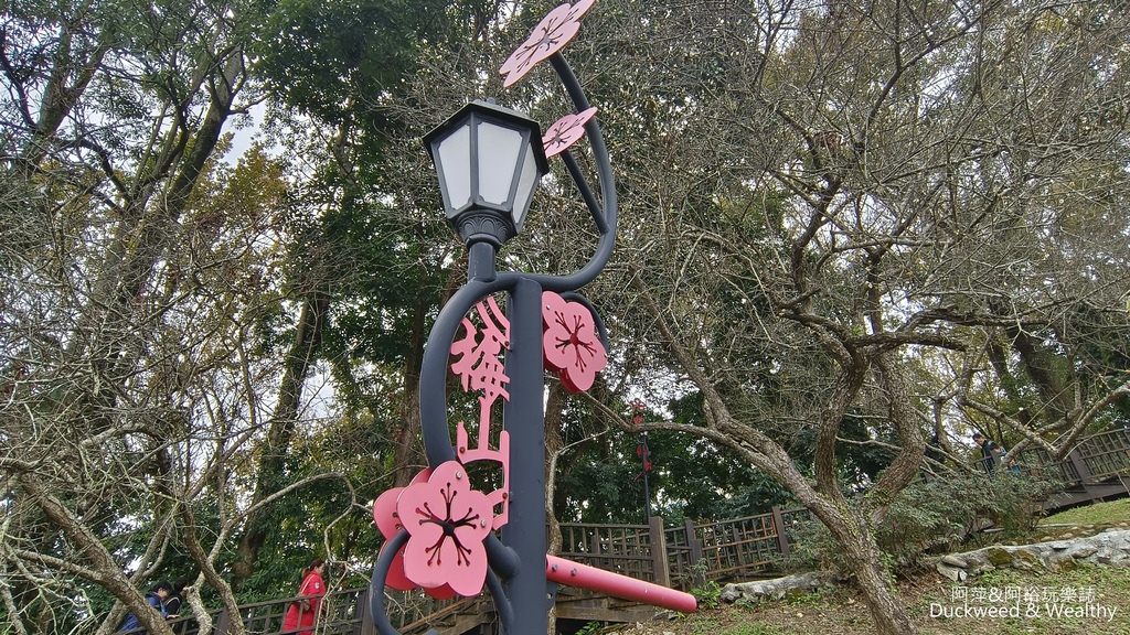 【嘉義.梅山景點】「梅山公園」嘉義賞梅景點推薦|擁抱山林最佳