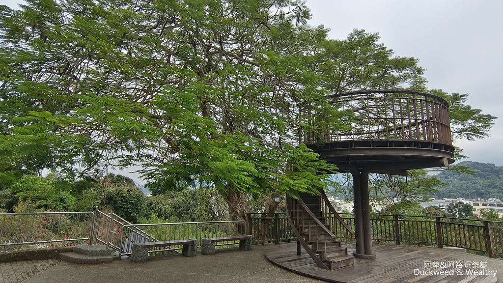 【嘉義.梅山景點】「梅山公園」嘉義賞梅景點推薦|擁抱山林最佳