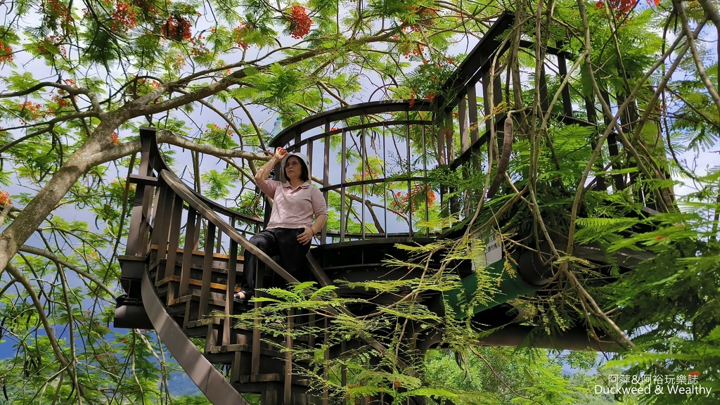 【嘉義.梅山景點】「梅山公園」嘉義賞梅景點推薦|擁抱山林最佳