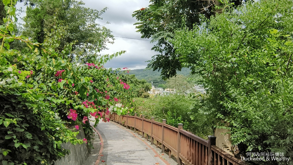 【嘉義.梅山景點】「梅山公園」嘉義賞梅景點推薦|擁抱山林最佳