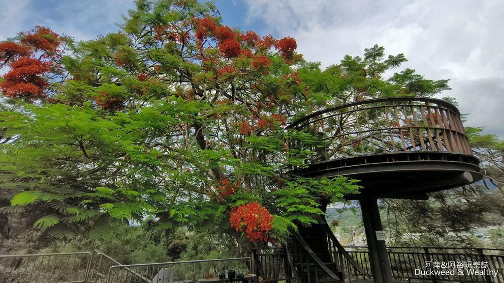 【嘉義.梅山景點】「梅山公園」嘉義賞梅景點推薦|擁抱山林最佳
