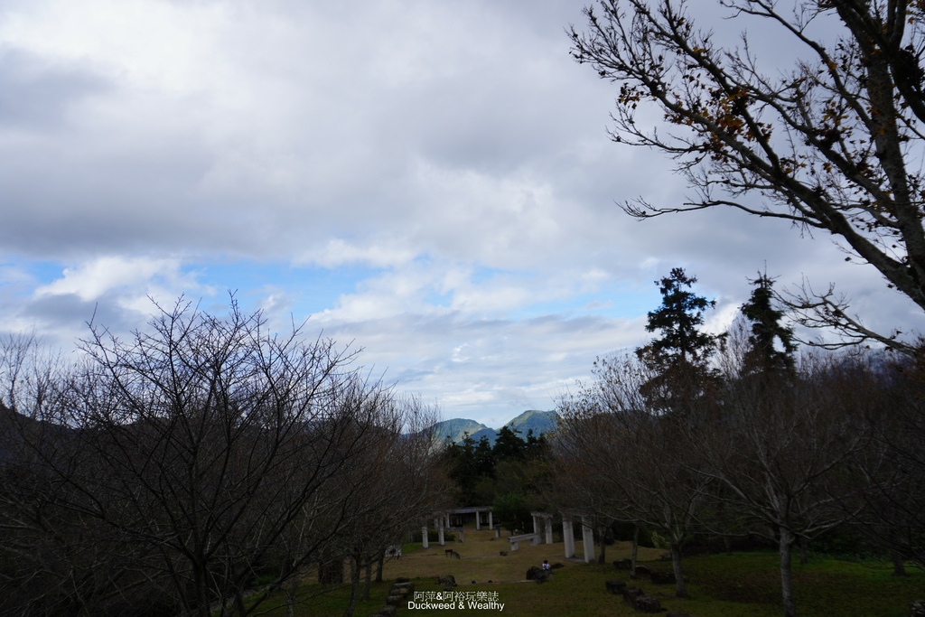 【嘉義梅山】「寒溪呢森林人文叡地」仙境般賞櫻景點∣福爾摩沙白
