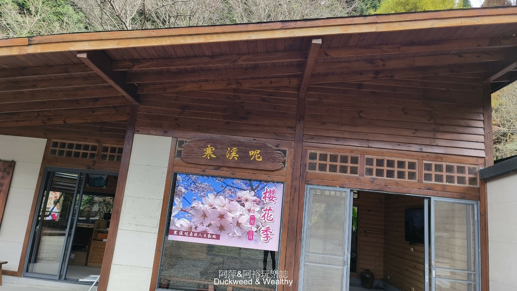 【嘉義梅山】「寒溪呢森林人文叡地」仙境般賞櫻景點∣福爾摩沙白