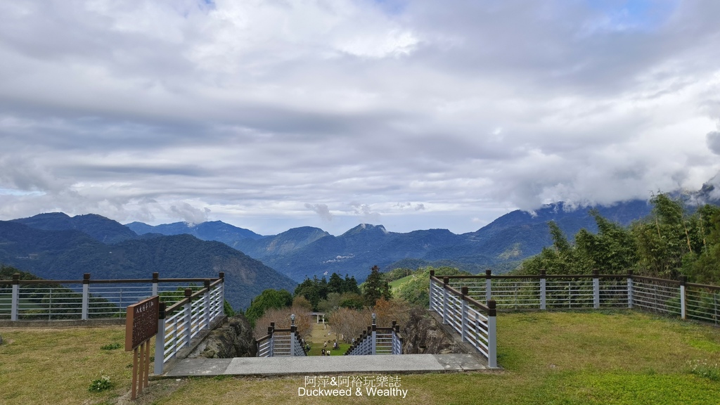 【嘉義梅山】「寒溪呢森林人文叡地」仙境般賞櫻景點∣福爾摩沙白
