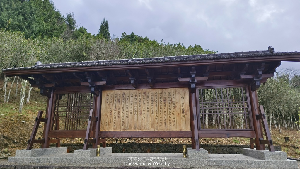 【嘉義梅山】「寒溪呢森林人文叡地」仙境般賞櫻景點∣福爾摩沙白