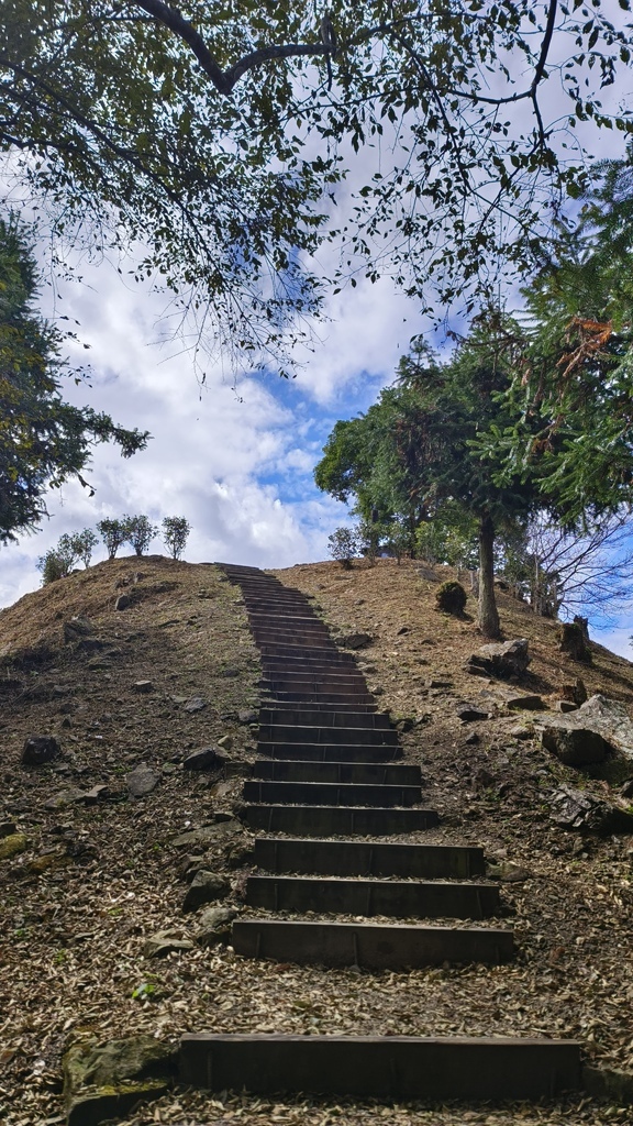 【嘉義梅山】「寒溪呢森林人文叡地」仙境般賞櫻景點∣福爾摩沙白