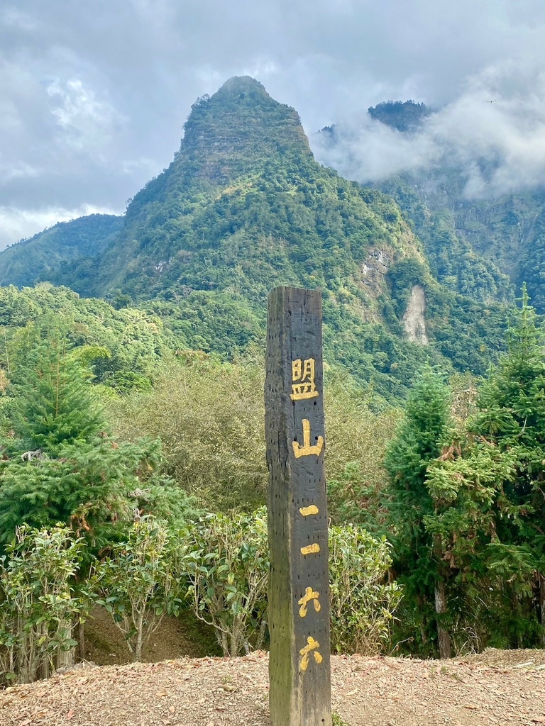 【嘉義梅山】「寒溪呢森林人文叡地」仙境般賞櫻景點∣福爾摩沙白