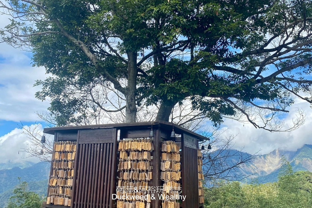 【嘉義梅山】寒溪呢「盟山一一六六」∣360度環繞無遮蔽的自然
