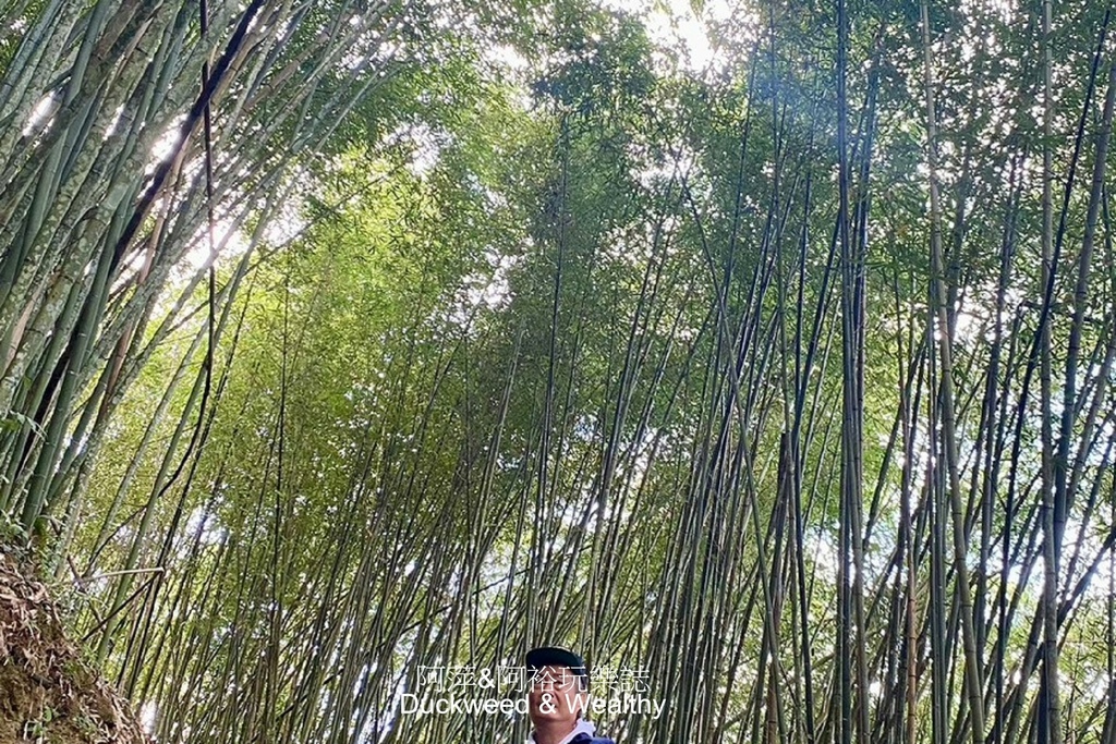 【嘉義梅山】寒溪呢「盟山一一六六」∣360度環繞無遮蔽的自然