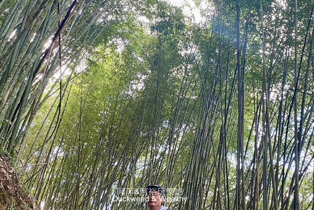 【嘉義梅山】寒溪呢「盟山一一六六」∣360度環繞無遮蔽的自然