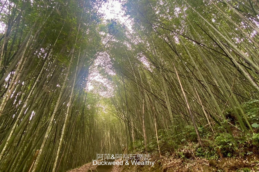 【嘉義梅山】寒溪呢「盟山一一六六」∣360度環繞無遮蔽的自然