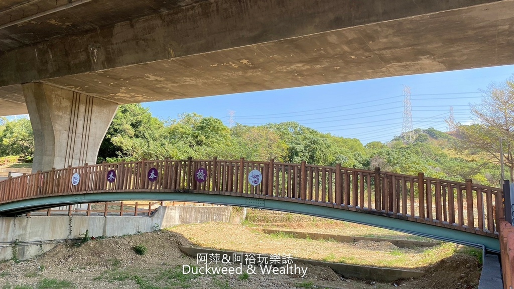 【台中。龍井】「竹坑南寮登山步道」平坦好走｜享受山林遼闊 視