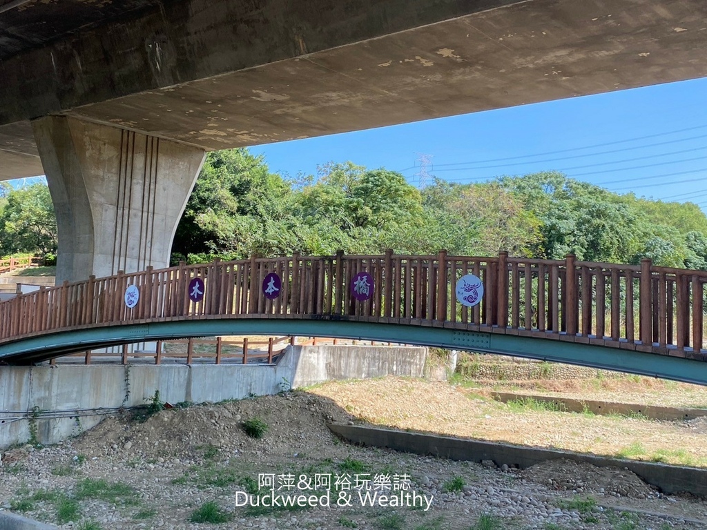 【台中。龍井】「竹坑南寮登山步道」平坦好走｜享受山林遼闊 視