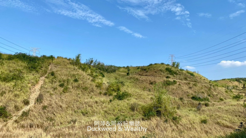 【台中。龍井】「竹坑南寮登山步道」平坦好走｜享受山林遼闊 視