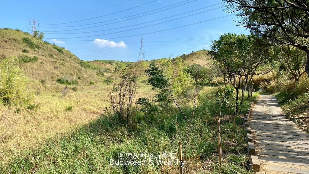 【台中。龍井】「竹坑南寮登山步道」平坦好走｜享受山林遼闊 視