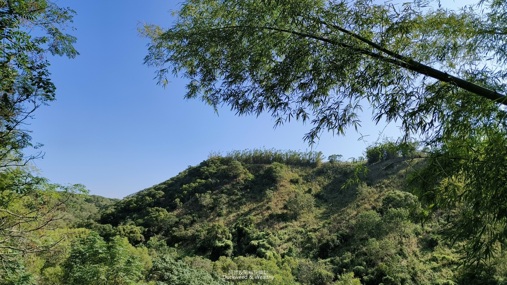 【台中。龍井】「竹坑南寮登山步道」平坦好走｜享受山林遼闊 視