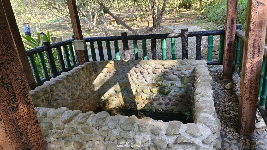 【台中。龍井】「竹坑南寮登山步道」平坦好走｜享受山林遼闊 視