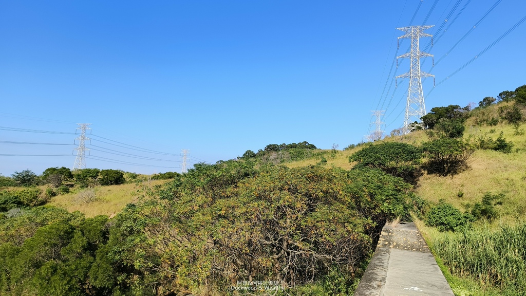 【台中。龍井】「竹坑南寮登山步道」平坦好走｜享受山林遼闊 視
