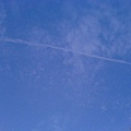 DSC01211.JPG
