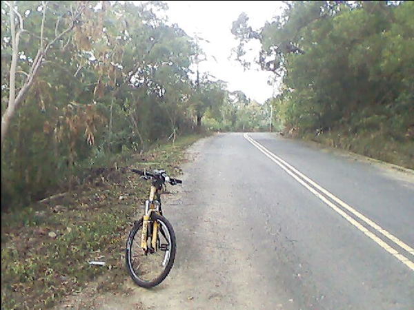 三灣鄉山路