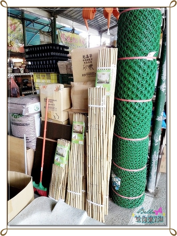 高雄鳯山 國泰花市 琳琅滿目不花錢景點 痞客邦