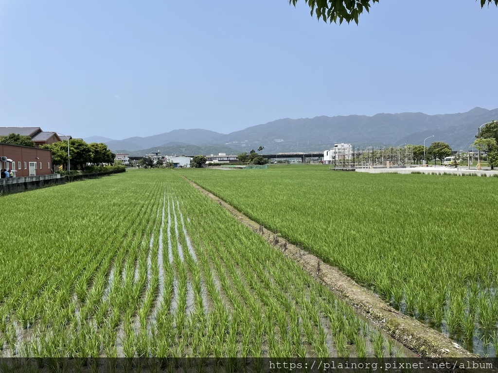 [食記] 宜蘭礁溪咖啡廳-【瑪德琳咖啡】