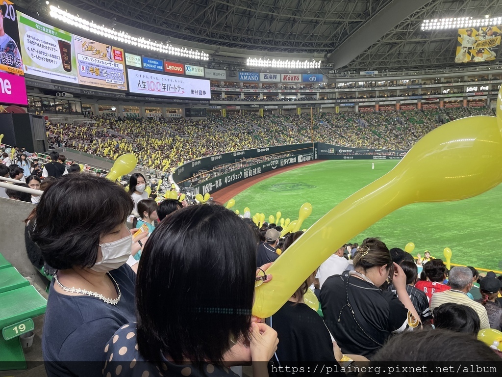 日本福岡x日本職棒【FUKUOKA PayPay DOME】