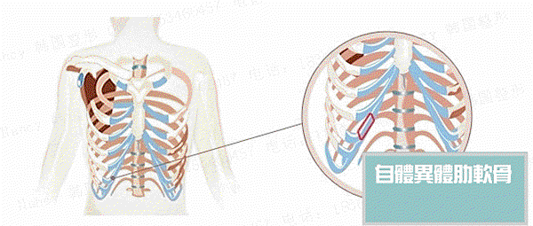 00000001.gif 00000001.gif