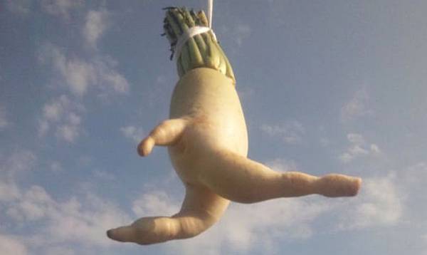 05肌肉神經阻斷瘦小腿.jpg 05肌肉神經阻斷瘦小腿.jpg