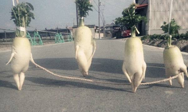 07瘦小腿手術推薦醫師診所.jpg 07瘦小腿手術推薦醫師診所.jpg