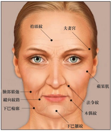 003自體脂肪移植手術費用價格價錢價位.jpg 003自體脂肪移植手術費用價格價錢價位.jpg