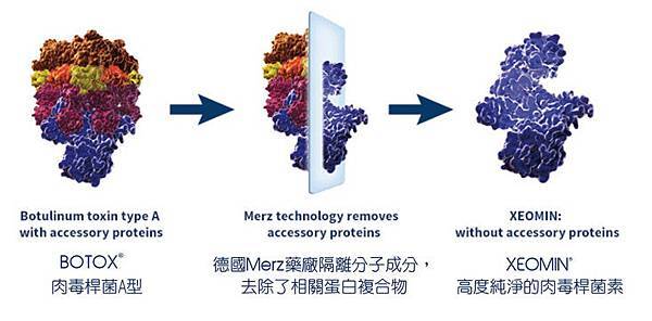 03 xeomin vs botox.jpg 03 xeomin vs botox.jpg