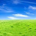 green_meadow.jpg