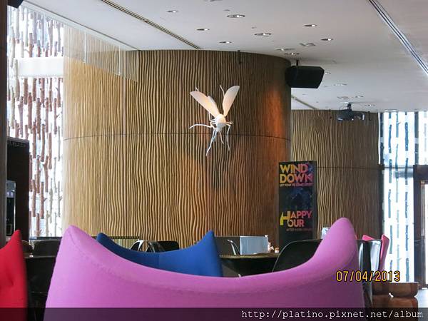 IMG_0564 IMG_0564