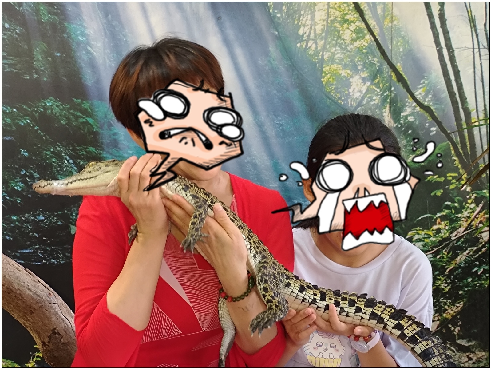 【馬來西亞。蘭卡威】鱷魚公園Crocodile Advent