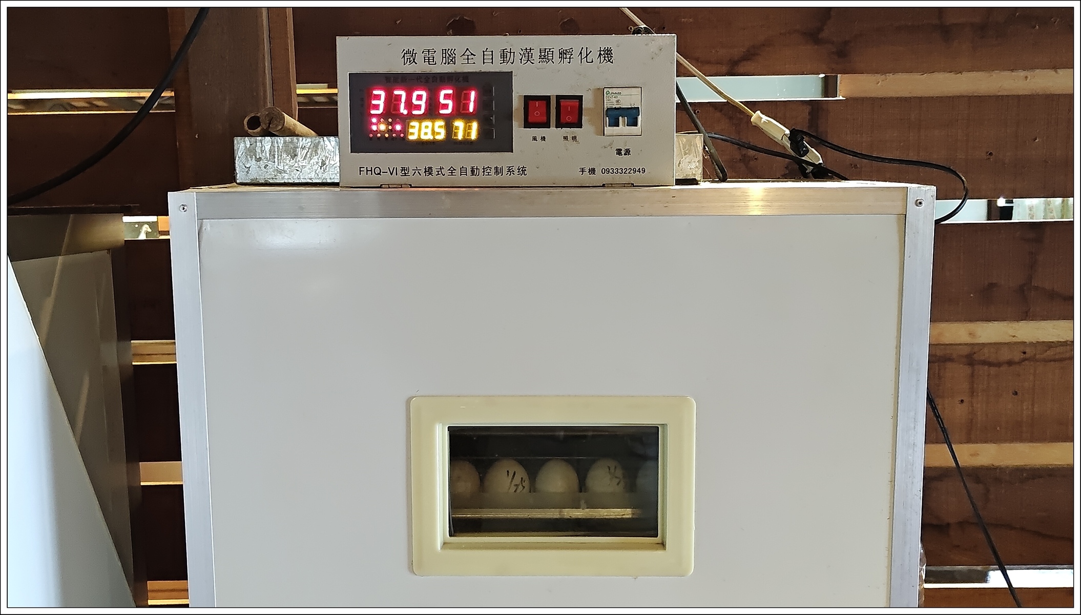 1.11 (2)成鴨的溫度比人高5-6度.jpg