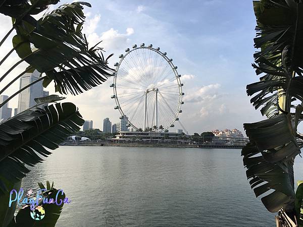 新馬自由行|SMRT怎麼搭?濱海灣花園逛2天都不是問題!金沙酒店觀景台看濱海灣水舞秀,哪裡取票?