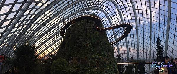 新馬自由行|SMRT怎麼搭?濱海灣花園逛2天都不是問題!金沙酒店觀景台看濱海灣水舞秀,哪裡取票?