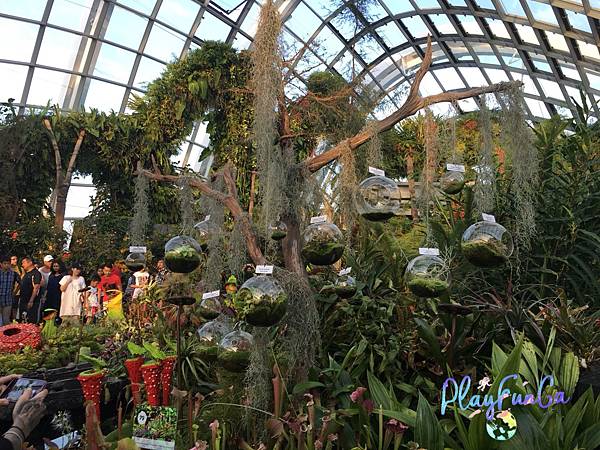 新馬自由行|SMRT怎麼搭?濱海灣花園逛2天都不是問題!金沙酒店觀景台看濱海灣水舞秀,哪裡取票?