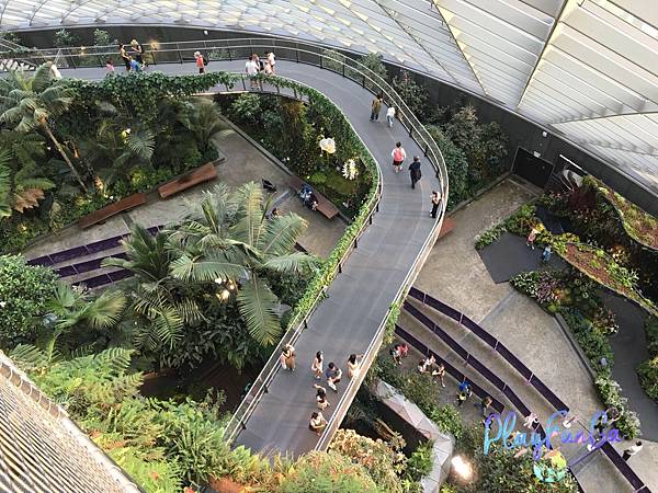 新馬自由行|SMRT怎麼搭?濱海灣花園逛2天都不是問題!金沙酒店觀景台看濱海灣水舞秀,哪裡取票?