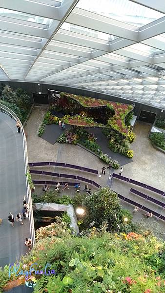 新馬自由行|SMRT怎麼搭?濱海灣花園逛2天都不是問題!金沙酒店觀景台看濱海灣水舞秀,哪裡取票?