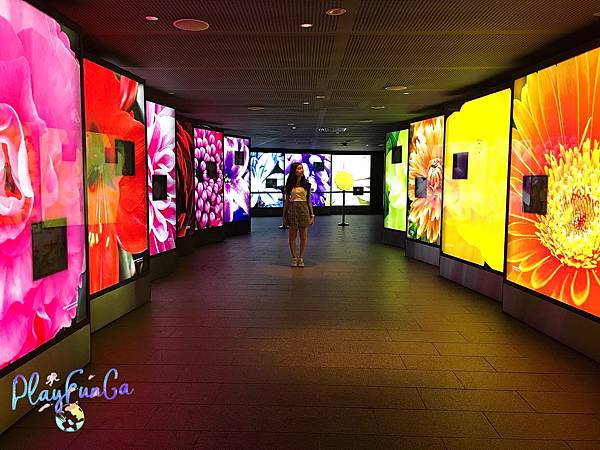 新馬自由行|SMRT怎麼搭?濱海灣花園逛2天都不是問題!金沙酒店觀景台看濱海灣水舞秀,哪裡取票?