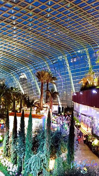 新馬自由行|SMRT怎麼搭?濱海灣花園逛2天都不是問題!金沙酒店觀景台看濱海灣水舞秀,哪裡取票?