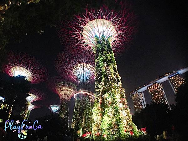 新馬自由行|SMRT怎麼搭?濱海灣花園逛2天都不是問題!金沙酒店觀景台看濱海灣水舞秀,哪裡取票?