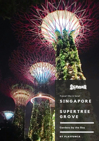 新馬自由行|SMRT怎麼搭?濱海灣花園逛2天都不是問題!金沙酒店觀景台看濱海灣水舞秀,哪裡取票?