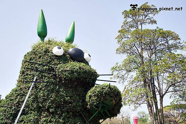 水萍塭公園_2015台南百花祭16